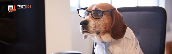 Animals in the Office: The Pros and Cons of a Pet-Friendly Workplace